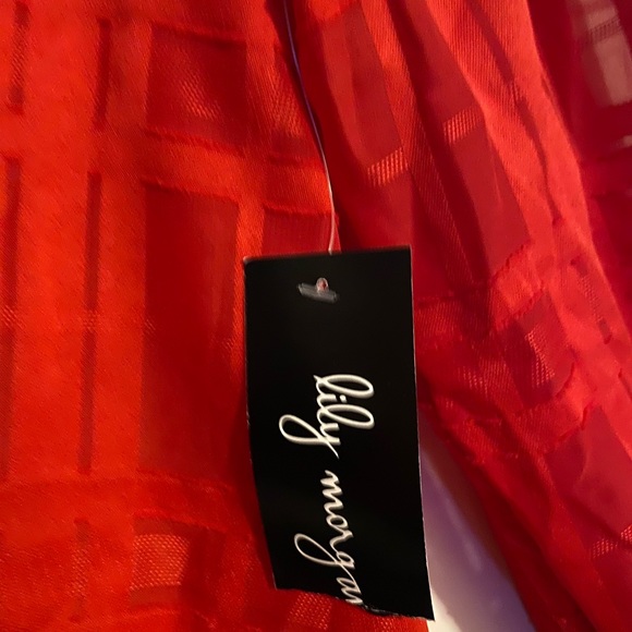 2XL Red Chiffon Blouse - Picture 5 of 6